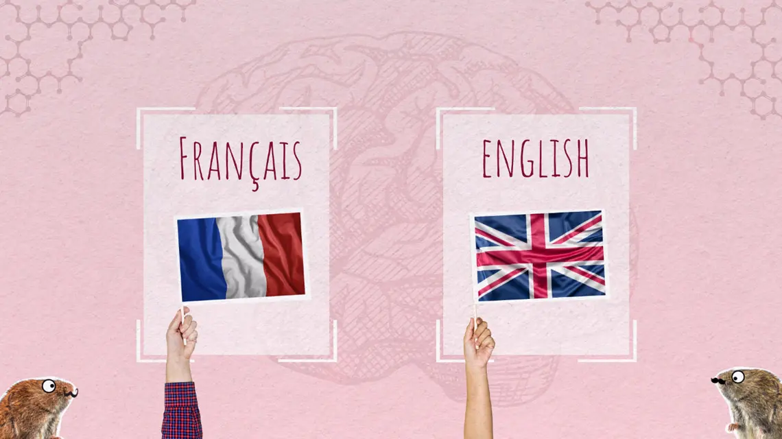 choix de langue
